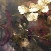 wine n roses sold