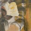 Golden Rose